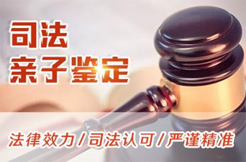 黄石司法DNA亲子鉴定如何做,